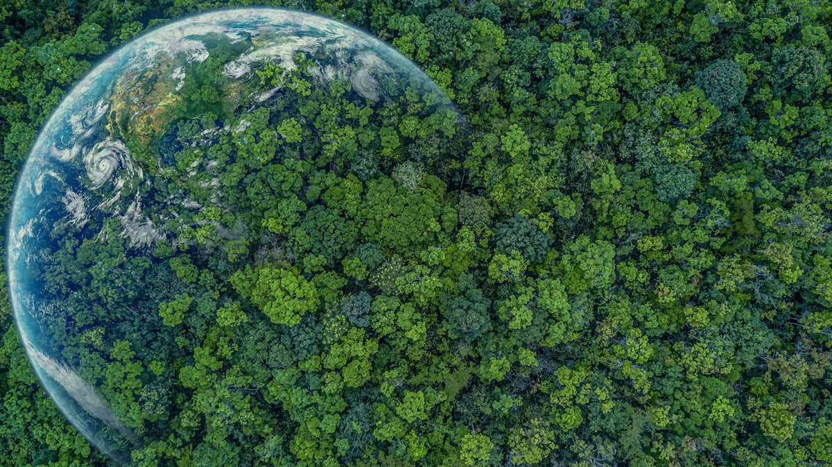 The Green Mirage: Unmasking Greenwashing in the Sportswear Industry part 1
